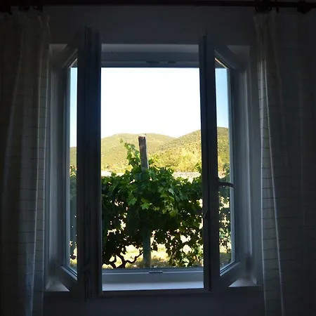 Kneze Bay Apartment, Κόρτσουλα