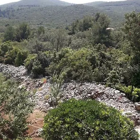 Apartment Kneze Bay Apartment, *